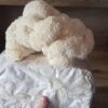 04 blocos de cultivo de cogumelo juba de leão(Hericium erinaceus) - Image 2