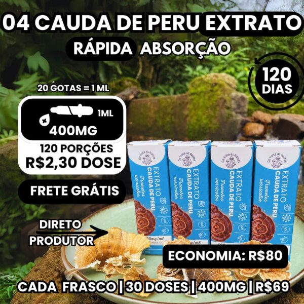 04 Extratos de cogumelo Cauda de Peru 30 ml - Tintura de Trametes Versicolor