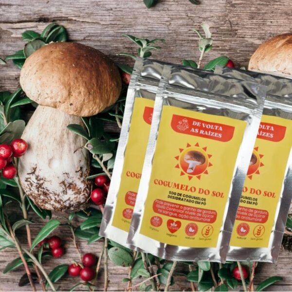 03 Cogumelo do Sol em Pó - Agaricus Blazei - 50g