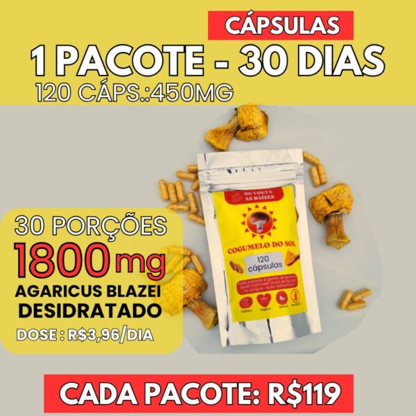 01 Pacote Cogumelo do sol [Agaricus Blazei] - 120 Cápsulas 450 mg