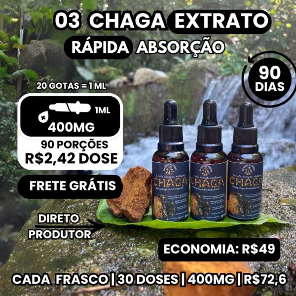 03 Extratos líquido de cogumelo chaga 30 ml