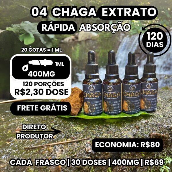 04 Extratos líquido de cogumelo chaga 30 ml