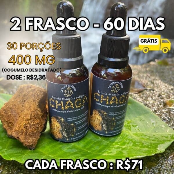 02 Extratos líquido de cogumelo chaga 30 ml