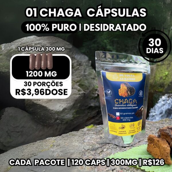 Pacote com 120 Cápsulas de Chaga 300 mg Cada  Cogumelo orgânico