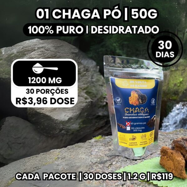 Chaga em Pó 100% Orgânico, desidratado 50g