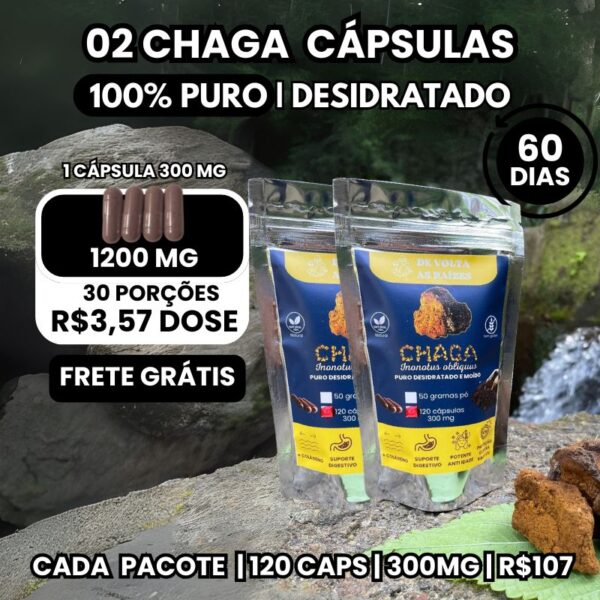 Kit 2 Pacotes Chaga em Cápsulas  300 mg  120 Cápsulas cada