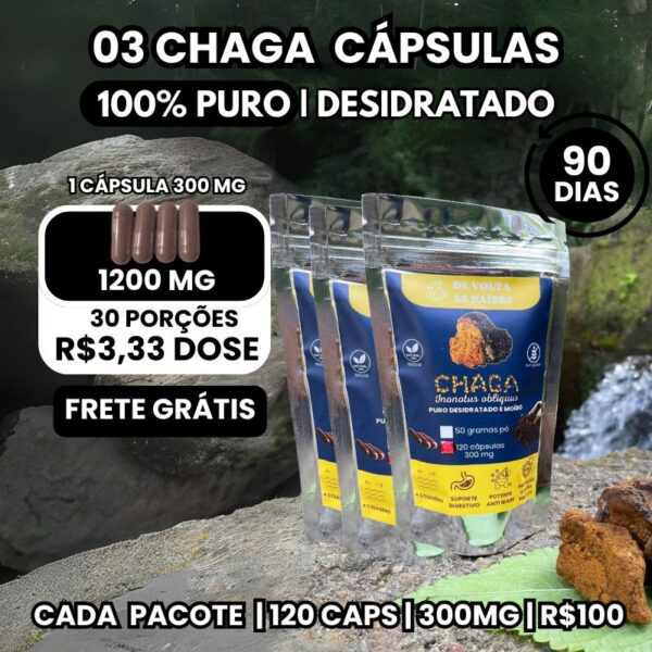 Kit 3 Pacotes Chaga em Cápsulas 300 mg 120 Cápsulas cada