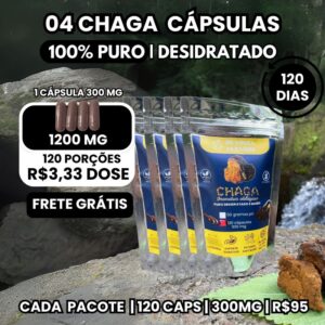 Kit 4 Pacotes Chaga em Cápsulas 300 mg  120 Cápsulas cada