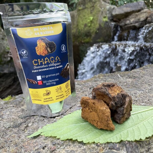 Chaga 120 Cápsulas 300 mg puro desidratado