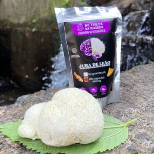 Juba de leão 120 Cápsulas 450 mg  puro desidratado
