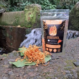 Cordyceps  Pó 50 g 1600 mg