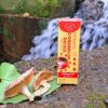 Cogumelo Sol extrato líquido 30 ml 400 mg