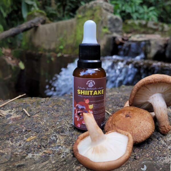 Shiitake extrato líquido 30 ml 400 mg